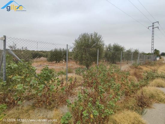 PARCELA RUSTICA CERCA DE PARADAS Y MUY CERCA DE LA AUTOVÍA A92 - SEVILLA