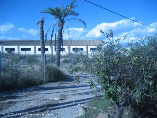 Solar Urbano de 5900 m2 con una nave- almacén de 843 m2 en su interior. - ALMERIA