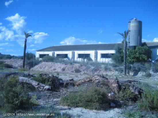 Solar Urbano de 5900 m2 con una nave- almacén de 843 m2 en su interior. - ALMERIA