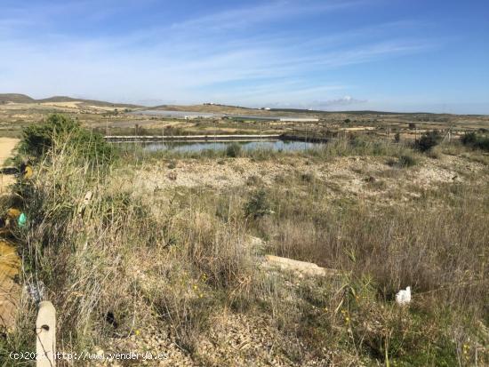 FINCAS PARA CULTIVO O RECREO - ALMERIA