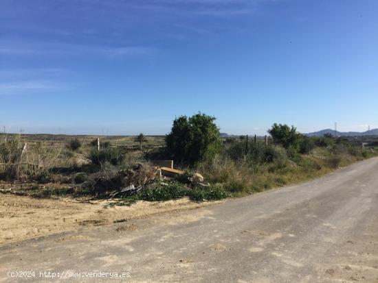 FINCAS PARA CULTIVO O RECREO - ALMERIA