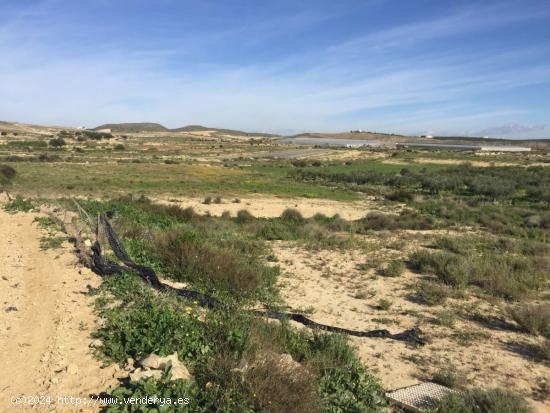 FINCAS PARA CULTIVO O RECREO - ALMERIA