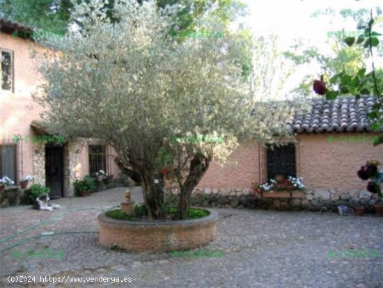 FINCA Rústica en venta - VALLADOLID