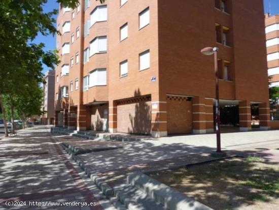 Local de nueva construcción en alquiler - VALLADOLID