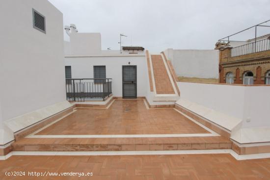 Fantástico Ático-Duplex de 4 dormitorios 215m2 en una excepcional zona de Santa Cruz-Alfalfa - SEV