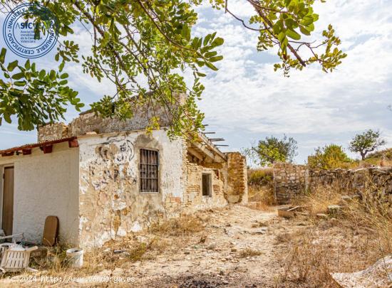 Terreno no urbanizable en Monserrat - VALENCIA