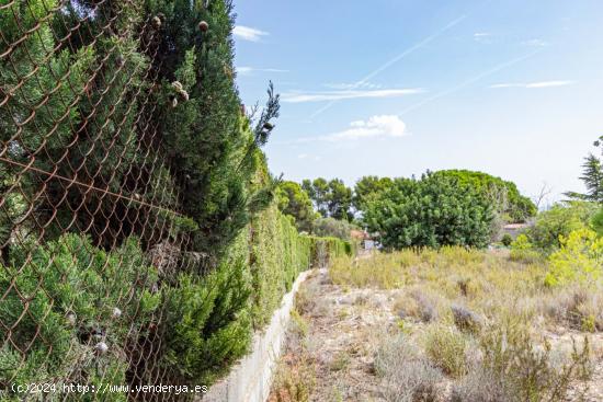 Terreno no urbanizable en Monserrat - VALENCIA