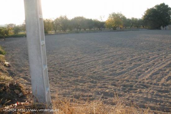 Terreno en El Llombo - Ontinyent - VALENCIA