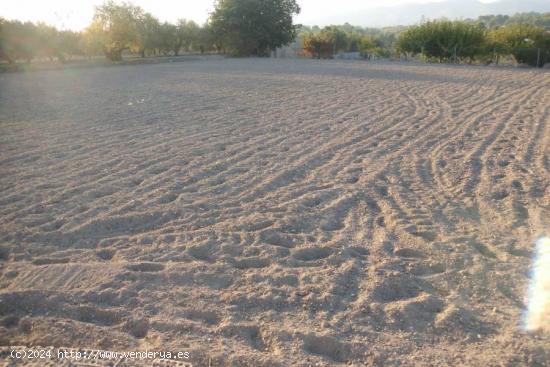 Terreno en El Llombo - Ontinyent - VALENCIA