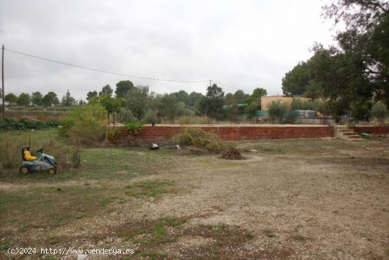 Parcela urbanizable con luz y agua en Casa Salses - Ontinyent - VALENCIA