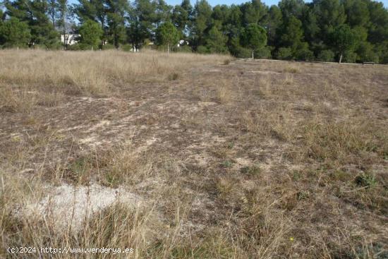 Terreno Urbano- Urbanización El Pilar-Ontinyent - VALENCIA