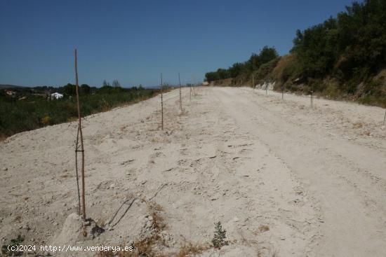 Terreno-Camino la Perdiguera - Ontinyent - VALENCIA