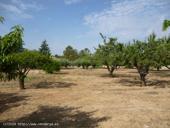 Terreno en zona Santa Ana-Ontinyent - VALENCIA