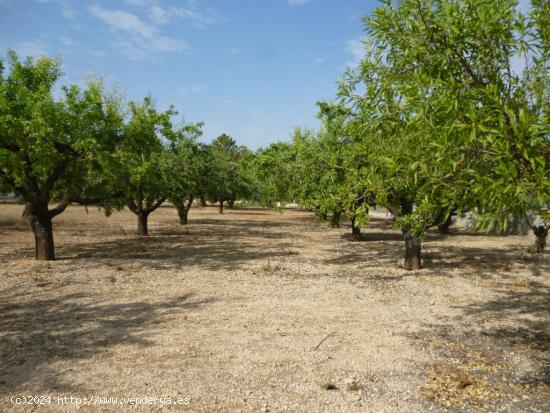 Terreno en zona Santa Ana-Ontinyent - VALENCIA