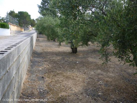 Terreno en zona Santa Ana-Ontinyent - VALENCIA