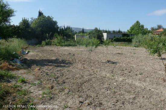 Terreno en Camí La Font - Ontinyent - VALENCIA