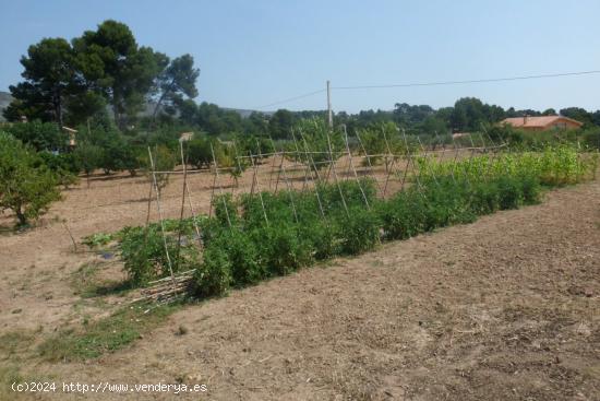 Parcela en Partida La Solana - Ontinyent - VALENCIA