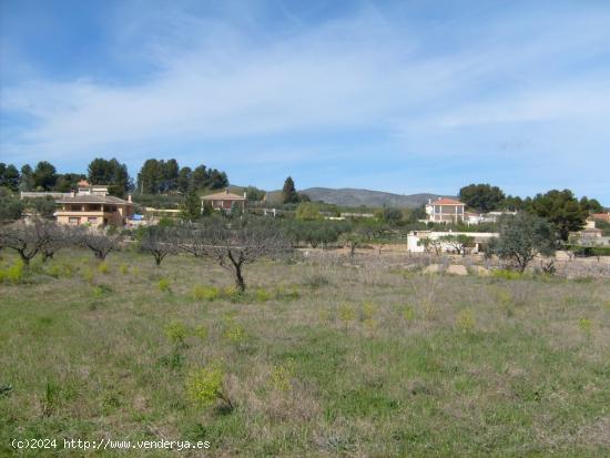  Terreno en El Siscar - Ontinyent - VALENCIA 