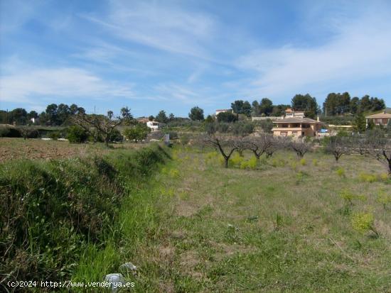 Terreno en El Siscar - Ontinyent - VALENCIA