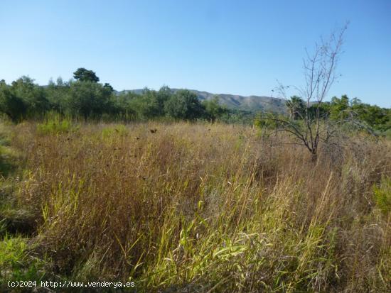 Terreno en Camí Vell d' Agullent - Ontinyent - VALENCIA