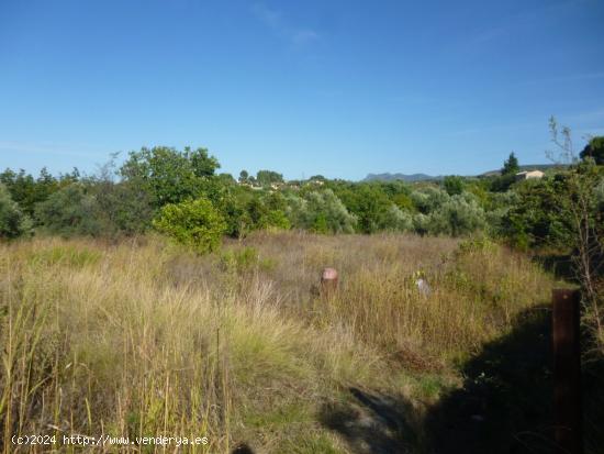 Terreno en Camí Vell d' Agullent - Ontinyent - VALENCIA