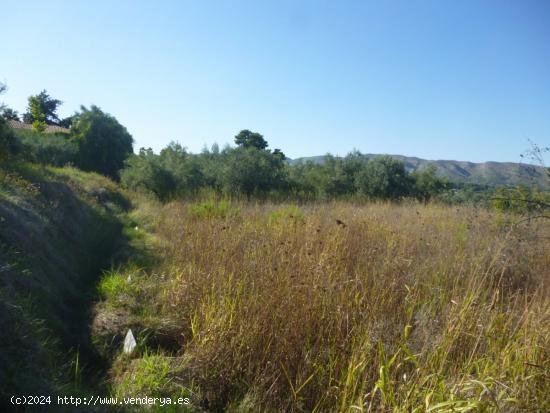 Terreno en Camí Vell d' Agullent - Ontinyent - VALENCIA