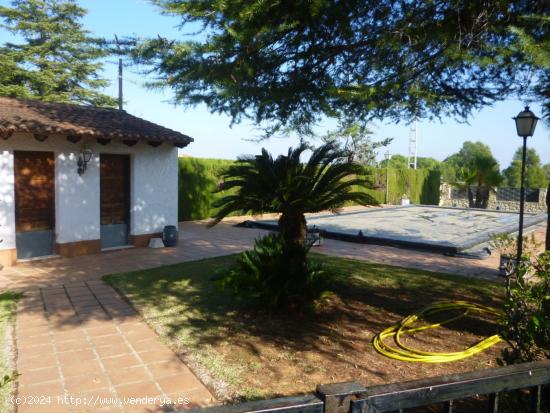 Chalet en zona El Pilar de Dalt - Ontinyent - VALENCIA