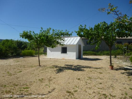 Terreno en Camí La Font - Ontinyent - VALENCIA