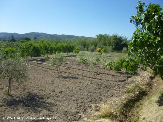 Terreno en Camí La Font - Ontinyent - VALENCIA