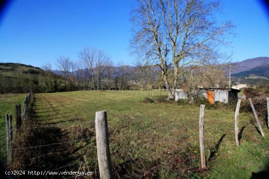 TERRENO EN NAVA DE ORDUNTE - BURGOS