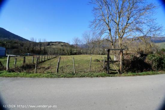 TERRENO EN NAVA DE ORDUNTE - BURGOS