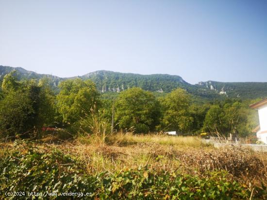 TERRENO URBANO EN VALLE DE MENA - BURGOS