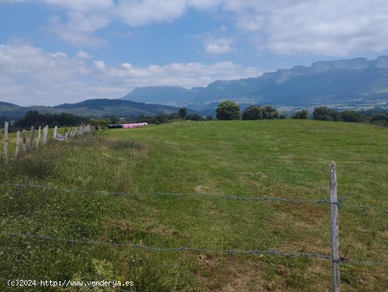 TRES HECTAREAS DE TERRENO EN VALLE DE MENA - BURGOS