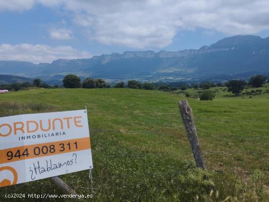 TRES HECTAREAS DE TERRENO EN VALLE DE MENA - BURGOS