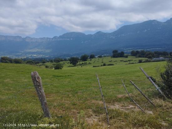 TRES HECTAREAS DE TERRENO EN VALLE DE MENA - BURGOS