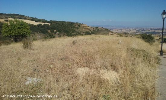  Parcelas urbanizadas en Arellano - NAVARRA 