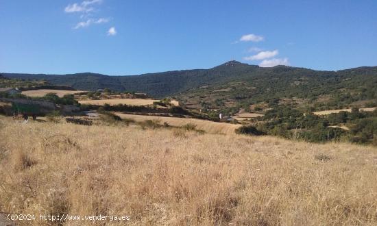 Parcelas urbanizadas en Arellano - NAVARRA