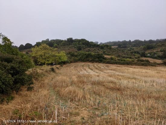 Finca rustica en Estella - NAVARRA