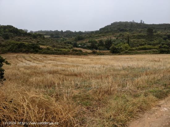 Finca rustica en Estella - NAVARRA