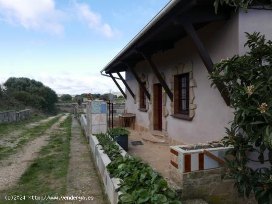 FINCA DE RECREO EN TÉRMINO DE PUEYO - NAVARRA