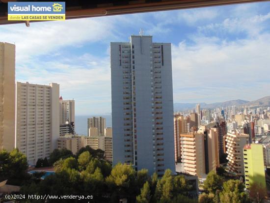  VIVIENDA VACACIONAL EN BENIDORM, RINCON DE LOIX - ALICANTE 