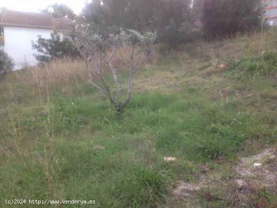 TERRENO EN BARONIA DE MAR - TARRAGONA