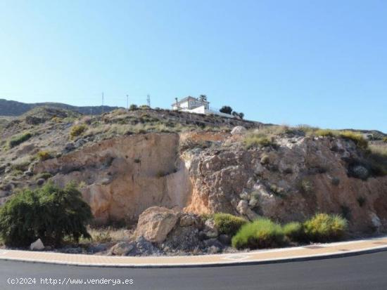 ESTUPENDA PARCELA EN LA ENVIA - ALMERIA