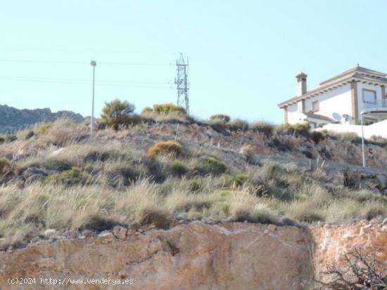 ESTUPENDA PARCELA EN LA ENVIA - ALMERIA