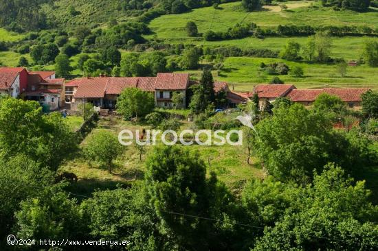 INVERSIÓN CON ENCANTO RÚSTICO - CANTABRIA