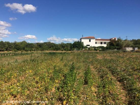  MASIA DEL 1960 CON 39000M2 DE TERRENO AGRICOLA AL LADO DEL MAR DE SANT SALVADOR - TARRAGONA 