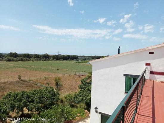 MASIA DEL 1960 CON 39000M2 DE TERRENO AGRICOLA AL LADO DEL MAR DE SANT SALVADOR - TARRAGONA