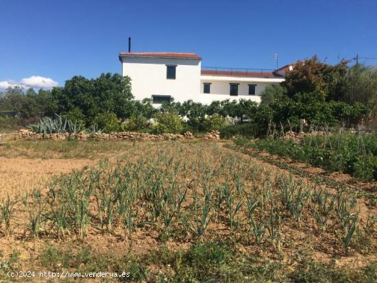 MASIA DEL 1960 CON 39000M2 DE TERRENO AGRICOLA AL LADO DEL MAR DE SANT SALVADOR - TARRAGONA