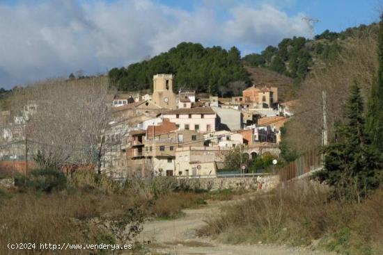  TERRENO RÚSTICO DE SECANO DE AVELLANOS - RIUDECOLS - TARRAGONA 