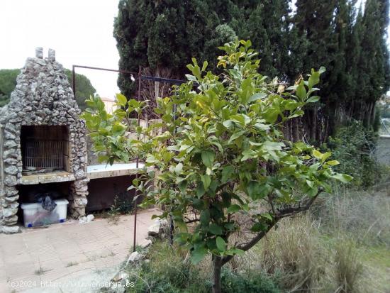 PARCELA  EDIFICABLE EN EL CENTRO DE SEGUR DE CALAFELL - TARRAGONA - TARRAGONA